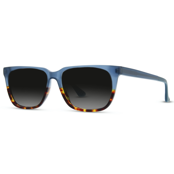 Lentes de Sol Helecho