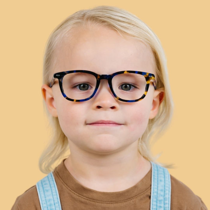 Lentes de Sol Roble