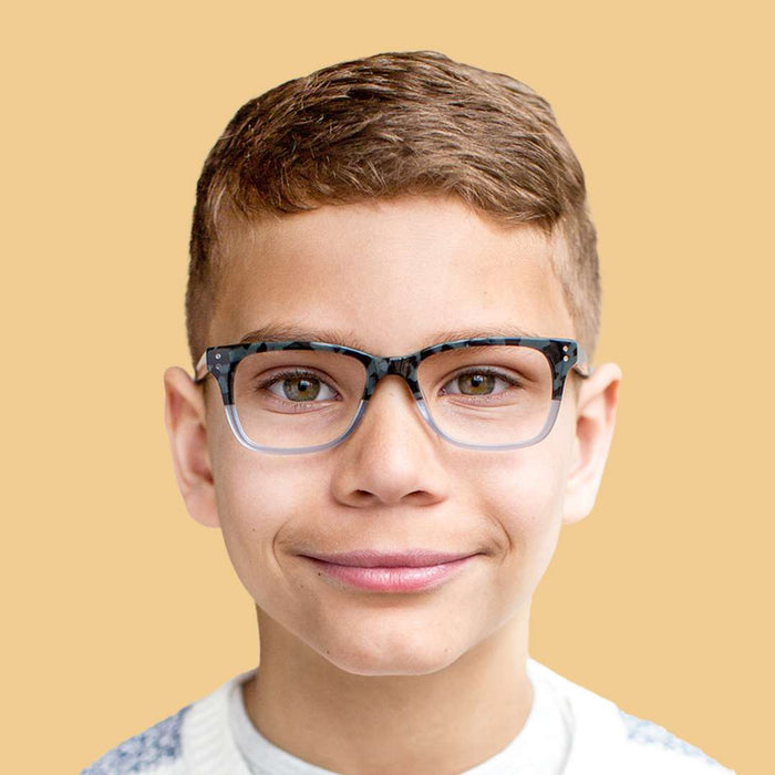 Armazón Ceibo